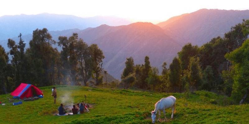 A Guide to Nag Tibba Weekend Trek